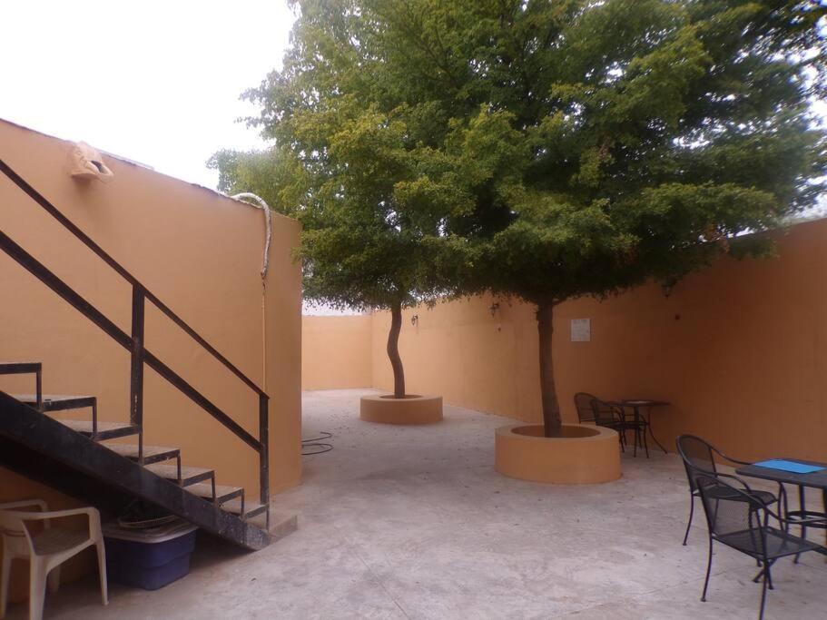 Apartamento 12 Con Dos Camas , A 200 Mts Del Vado Del Rio , Cerca Del Centro De Gobierno , Internet De Alta Velocidad Hermosillo Bagian luar foto