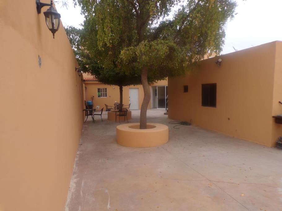 Apartamento 12 Con Dos Camas , A 200 Mts Del Vado Del Rio , Cerca Del Centro De Gobierno , Internet De Alta Velocidad Hermosillo Bagian luar foto